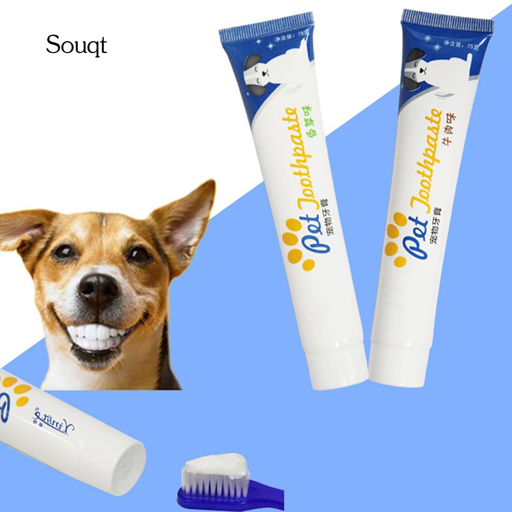 SQ_Edible Puppy Toothpaste Teeth Cleaning Oral Care Shopee Philippines