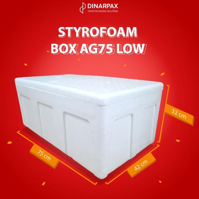 Large Styrofoam Box AG 75 Low Density / Styrofoam DinarBox / Box AG75