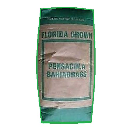 Florida Grown Pensacola Bahia Grass Seed Fully Tested Fast Germination