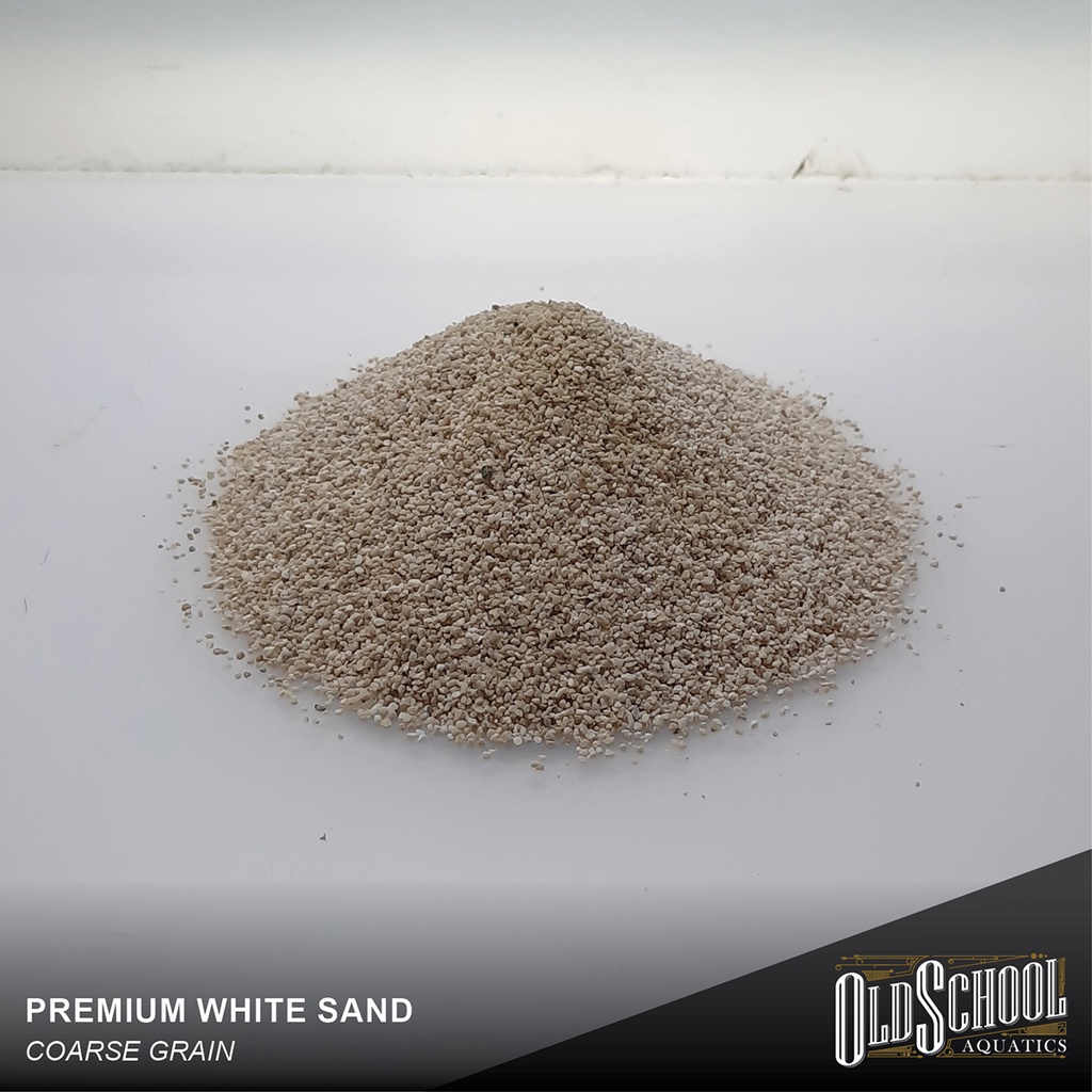 White Sand Substrate for Aquascaping Shopee Philippines