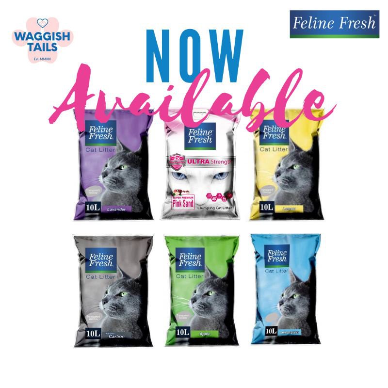 Feline Fresh Cat Litter Sand (500g/1kg repacked) Shopee Philippines