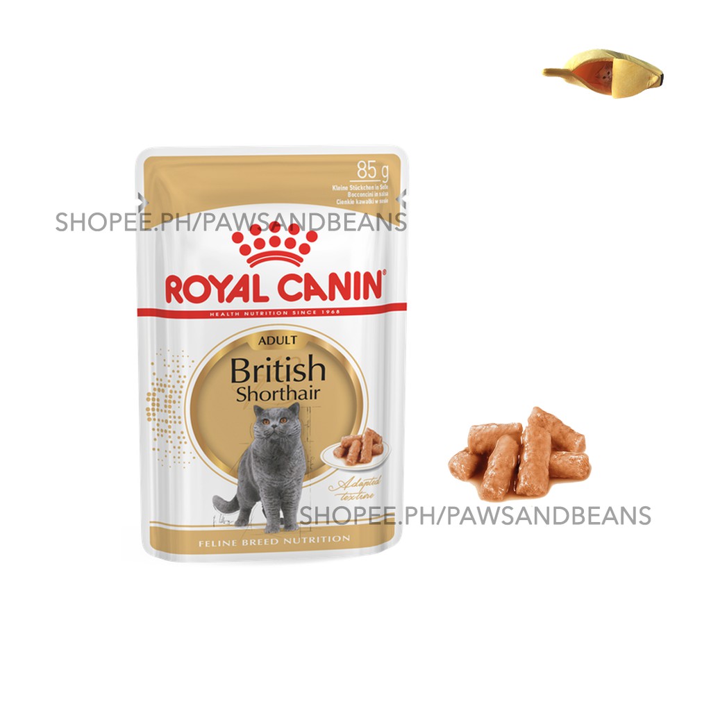 Royal Canin British Shorthair Adult Wet Cat Food in 85g Pouch Breed