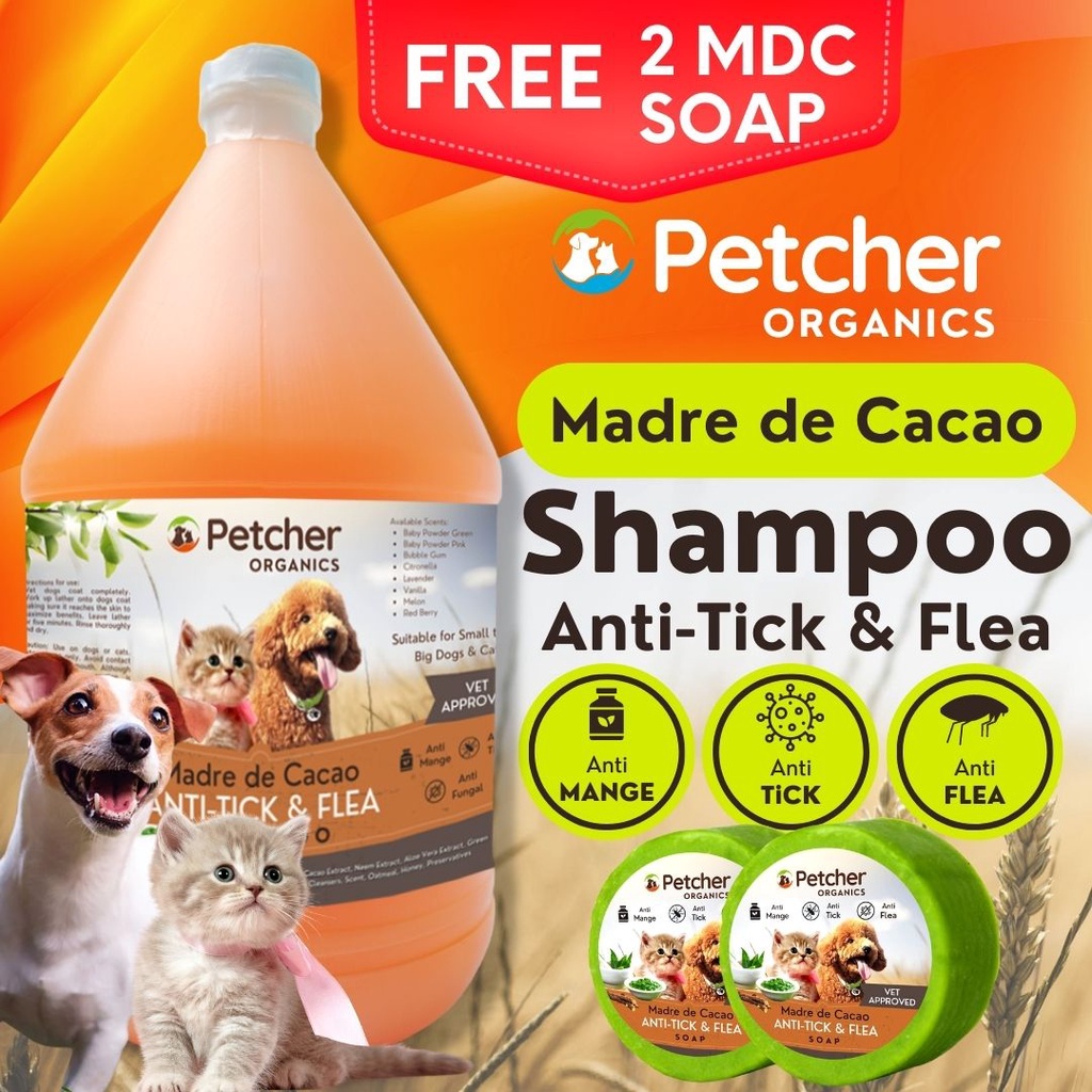 Petcher Organics Madre de Cacao 1 Gallon Melon Scent Pet Shampoo with
