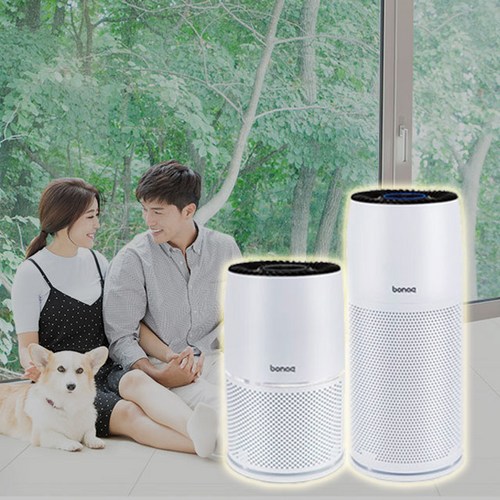 Will An Air Purifier Help With Dog Hair