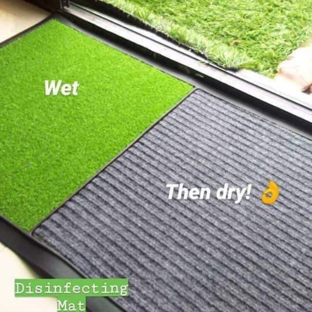☃stromph* 2 in 1 Dual Function Disinfectant Foot Shoe Mat Wet and Dry