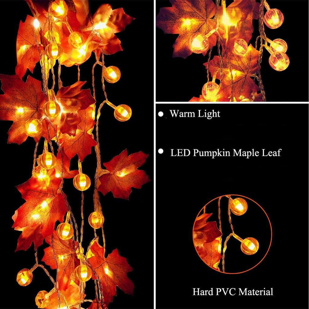 Seven Decorative Thanksgiving Lighting Ideas Northern Lights And Trees
