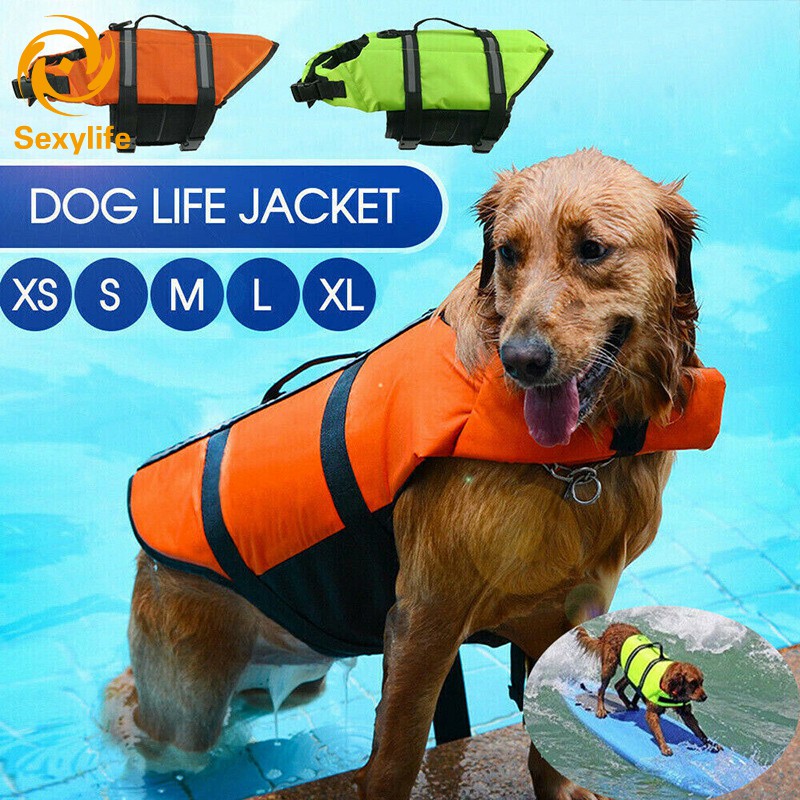 Are Life Jackets Good For Dogs