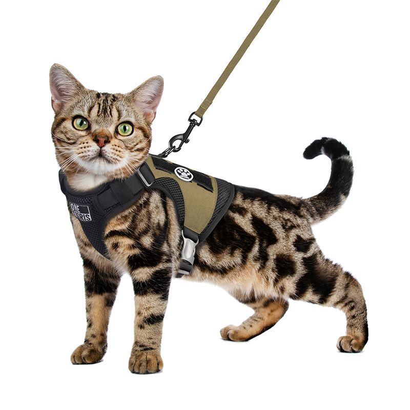 CLAW ENFORCEMENT TACTICAL CAT HARNESS CAT Chest HARNESS (TG