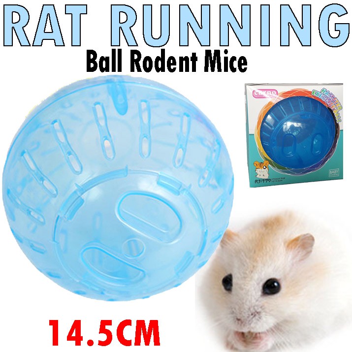 14.5cm white rat Running Ball Rodent Mice Jogging Hamster Gerbil Rat