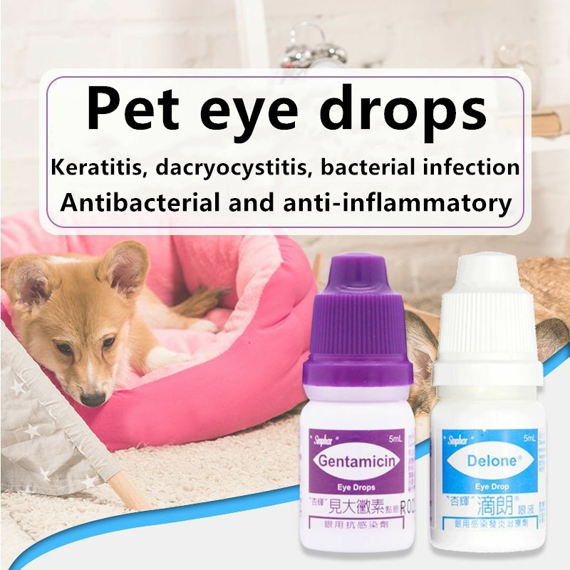 SINPHAR 5ml Gentamicin Eye Drops for Pets Shopee Philippines