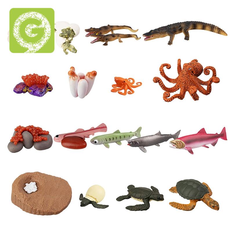 17PCS Animal Life Cycle Figurines Of Green Sea Octopus Salmon Fish