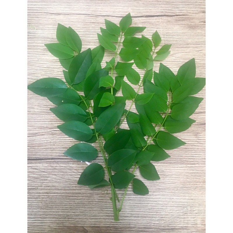 Madre De Cacao/Kakawati leaves 250 grams Shopee Philippines