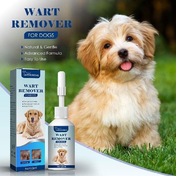 Pet Wart Remover Dog Natural Wart Remover Dog Skin Tags Dog Treatment Wart Removal 20ml Shopee