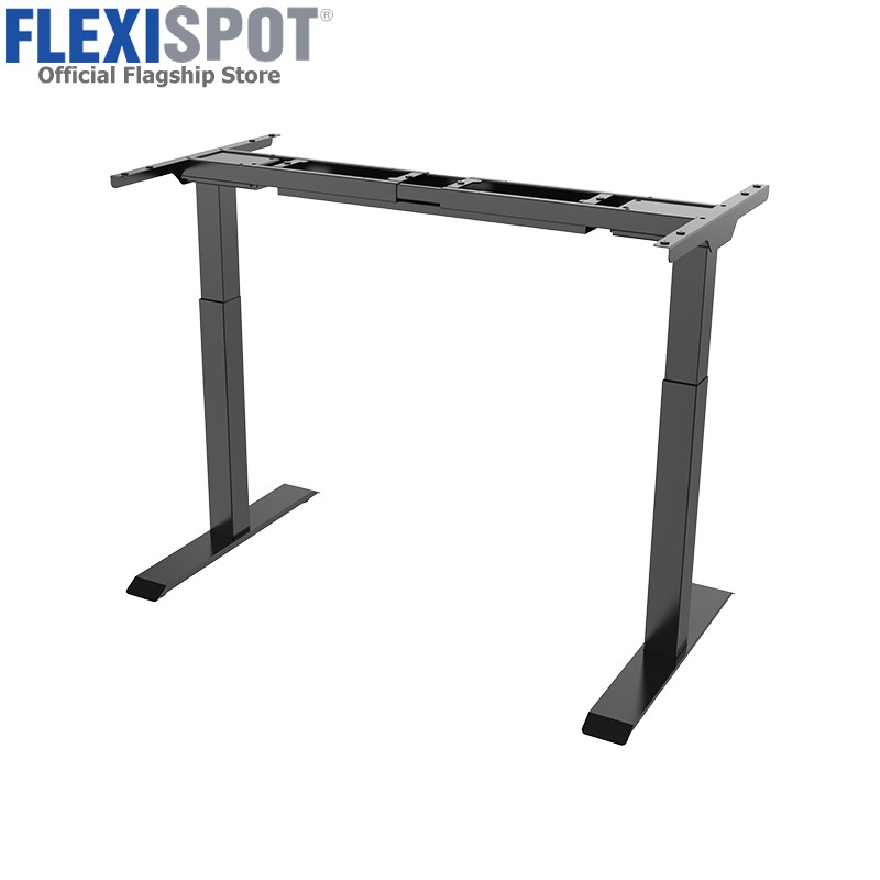 Flexispot E1 Electric Ergonomic Standing Desk Height Adjustable Dual