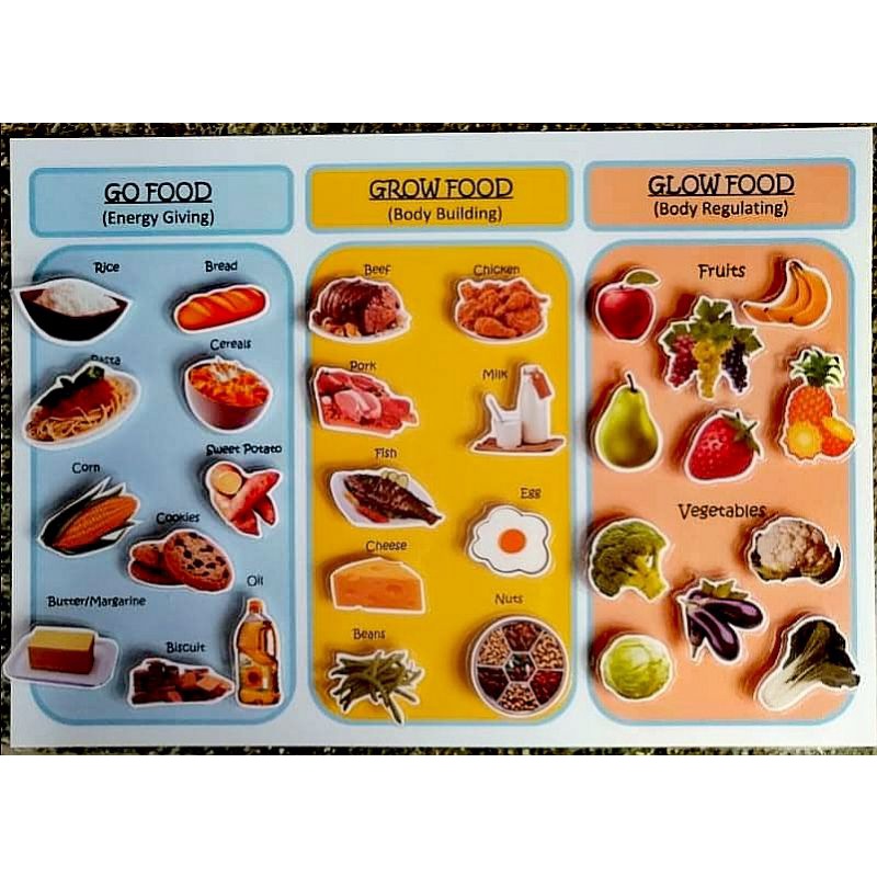 Go Grow Glow Foods Laminated Educational A4 Size(teacher Pher