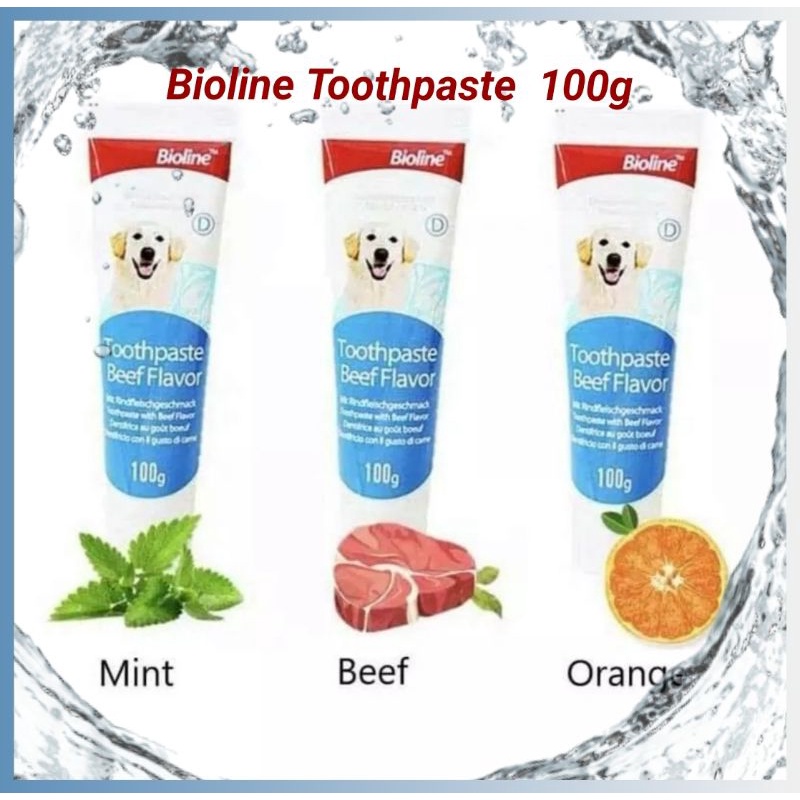 Bioline Dog Toothpaste 100g (Toothpaste only) Shopee Philippines