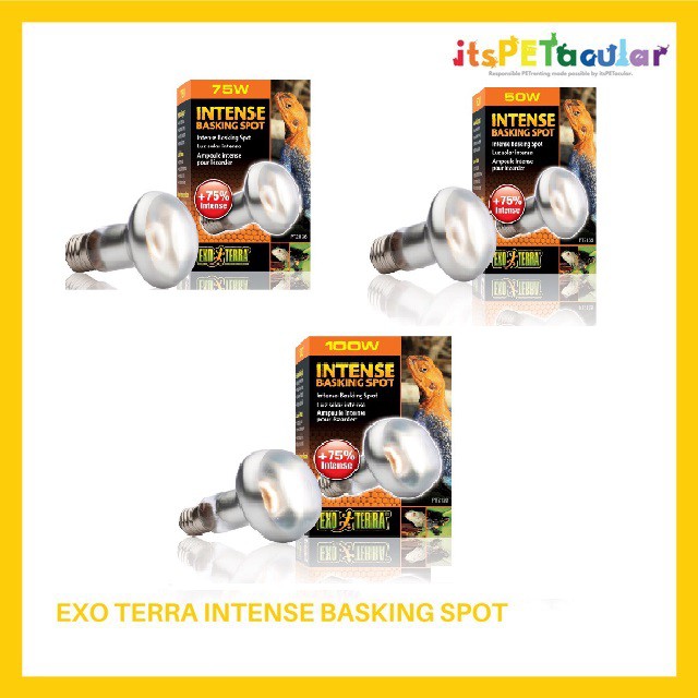 Exo Terra Sun Glo Intense Basking Spot Lamp 50w, 75w , 100w Shopee