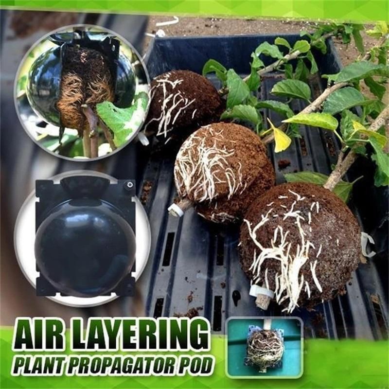 Plant root growing rooting device propagation ball marcotting grafting
