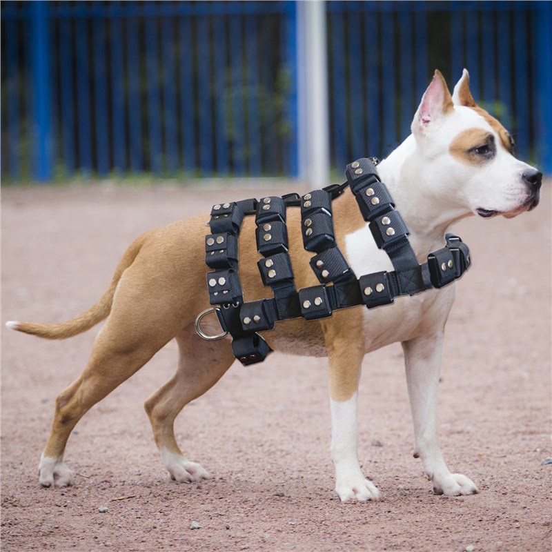 Weight Vest For Pitbull