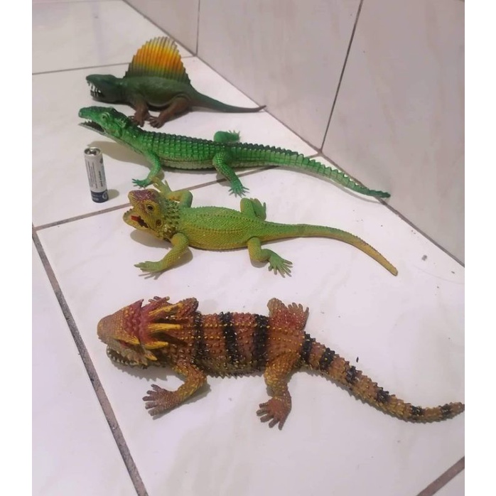 ANIMALS (PRELOVED REPTILES) Shopee Philippines