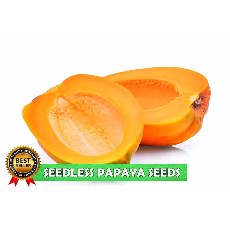 flower seeds GA/SEEDLESS PAPAYA SEEDS/HYBRID/EASY TO GROW 1PACK