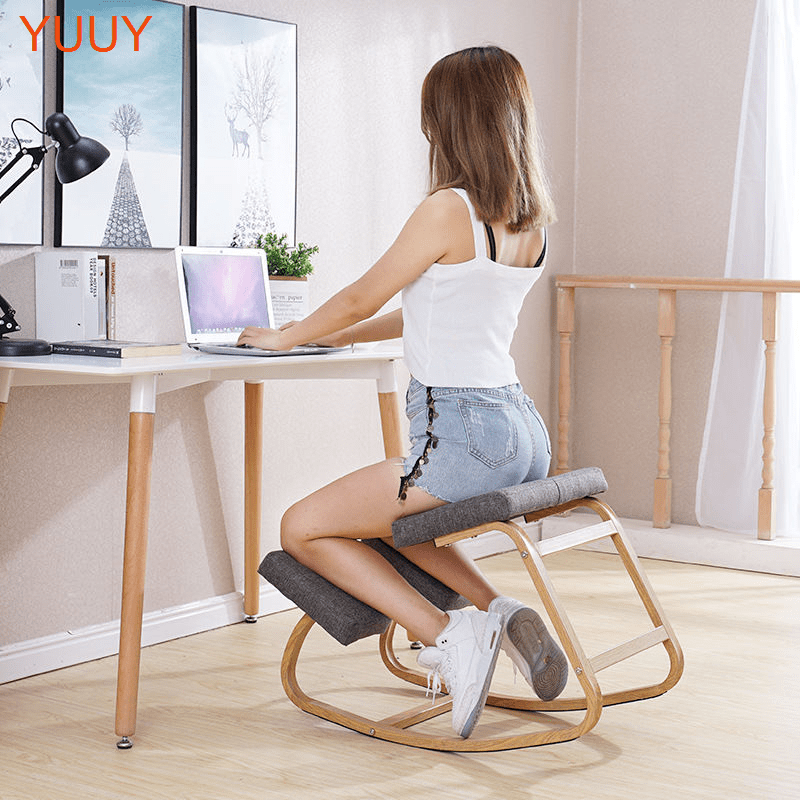Ergonomically Correct Computer Desk Chair