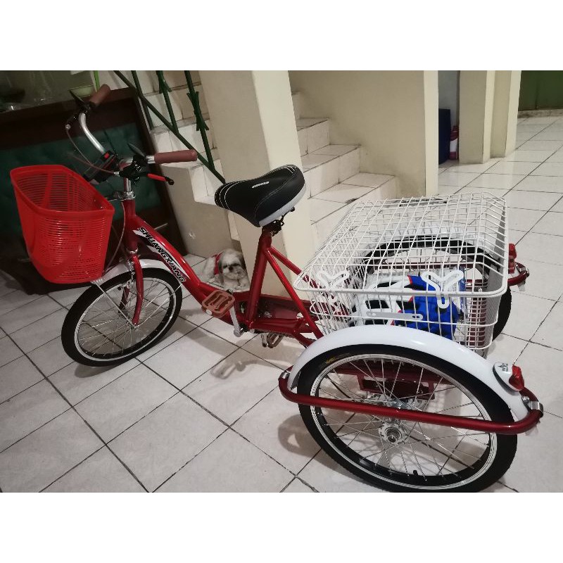 tri bike with baskets Shopee Philippines