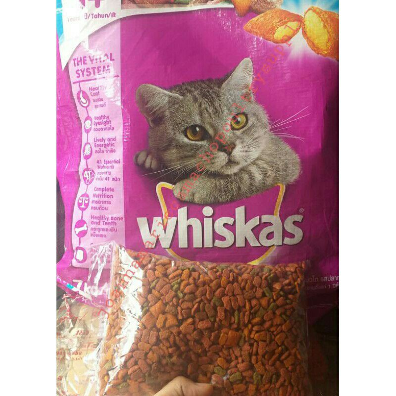 WHISKAS Dry Cat Food Ocean Fish (1/2Kg) Shopee Philippines