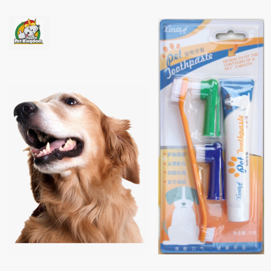 Pet Toothpaste Puppy Toothpaste Toothbrush Set Medium Large Dog Oral Cleaning Supplies Four