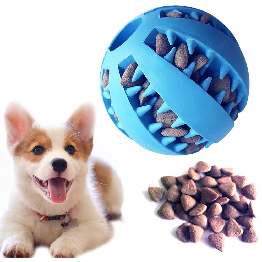 Super Pet Supplies, Online Shop Shopee Philippines