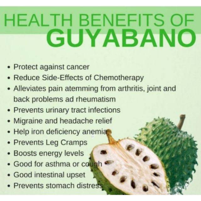 Guyabano leaf tea benefits 191283Can i drink guyabano tea everyday