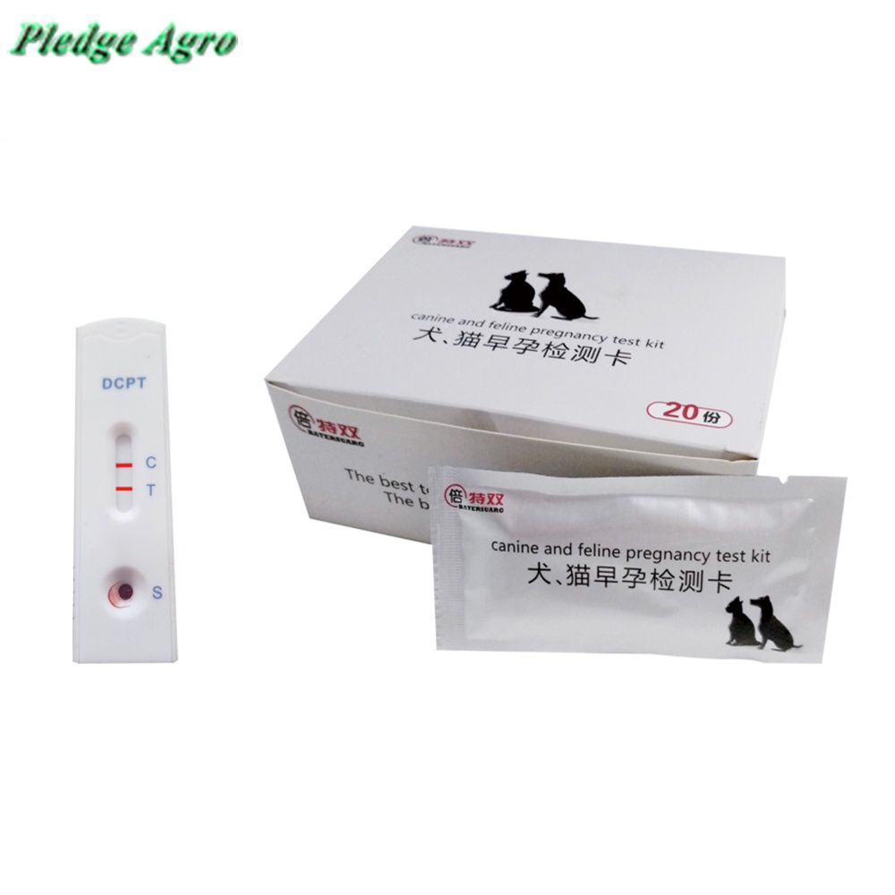 Is There A Pregnancy Test For Dogs