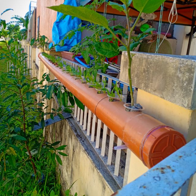 nft system 2" pvc used Shopee Philippines