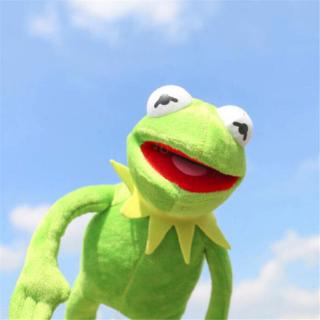 Uk 2018 Hot Eden Full Body Kermit The Frog Hand Puppet Meme Plush