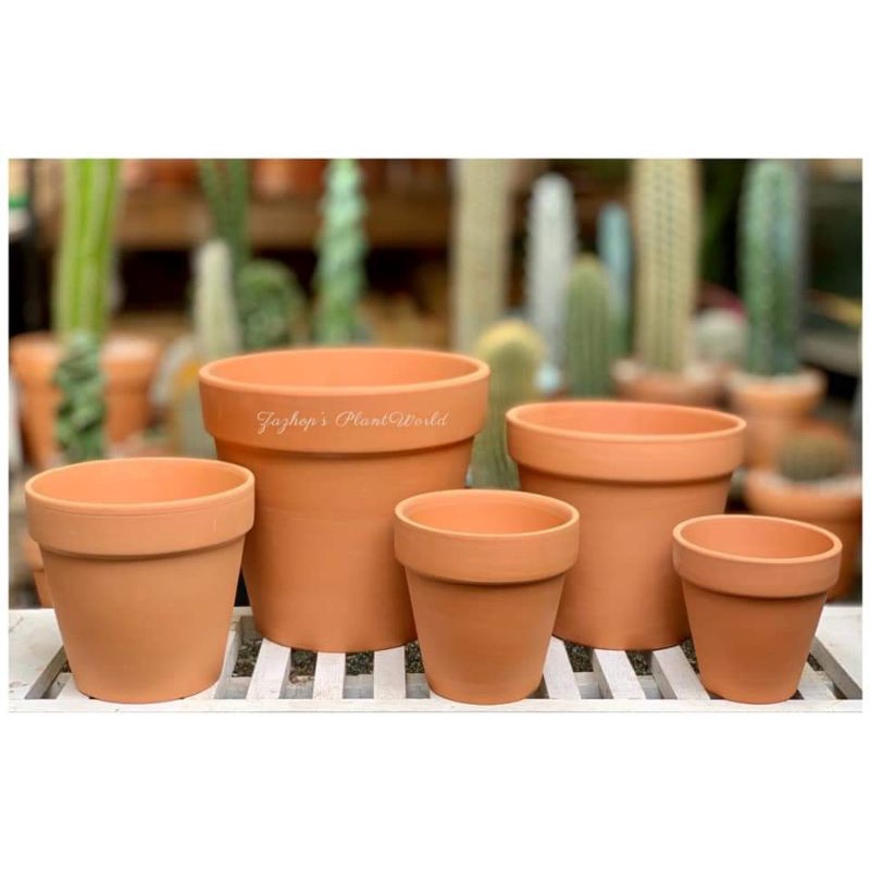 terracotta pot Best Prices and Online Promos Dec 2022 Shopee