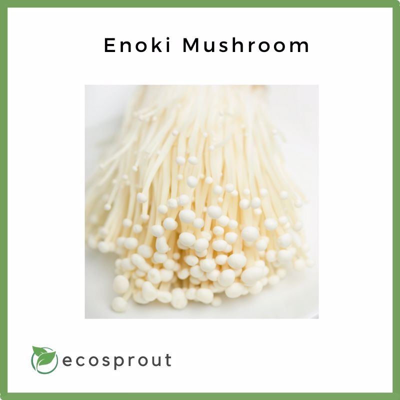 Fresh Enoki Mushroom Per Pack Fresh Vegetables Fresh Fruits