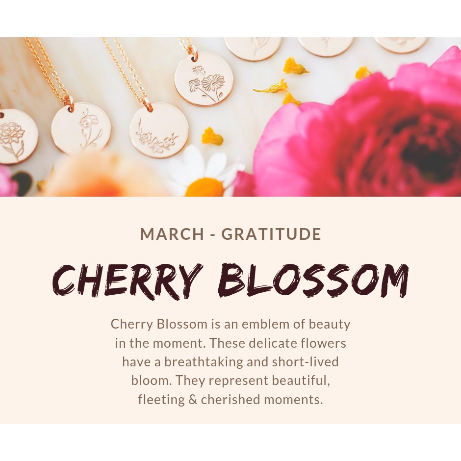 MARCH Birth flower Cherry Blossoms by Stella Ambrose