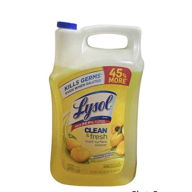 Lysol disinfectant gallon Shopee Philippines
