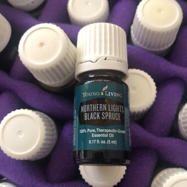 Young living northern lights black spruce 5 ml Shopee Philippines