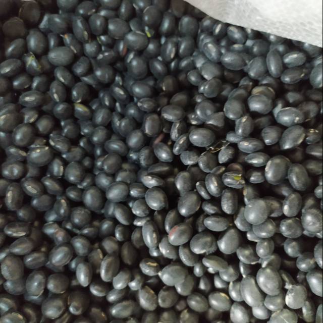 China Black Beans / Black Bean (green Color) Shopee Philippines