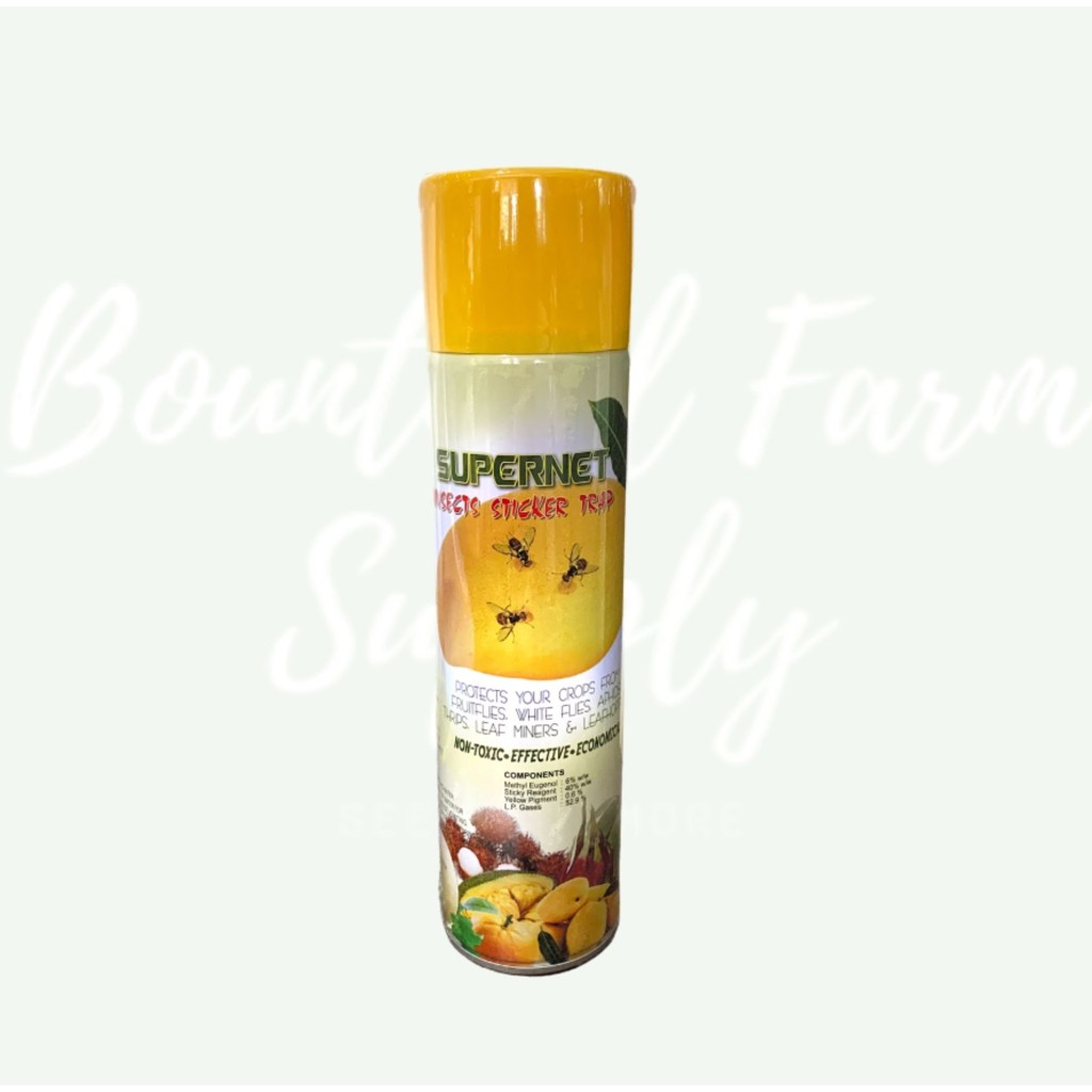 Insects Sticker Trap Shopee Philippines