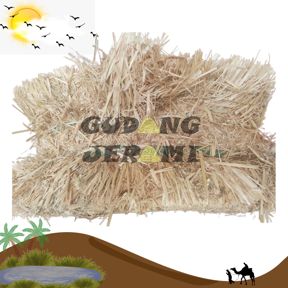 Daily OATEN HAY Rabbit Food 500 gr BEST CHOICE Rabbit Grass Shopee