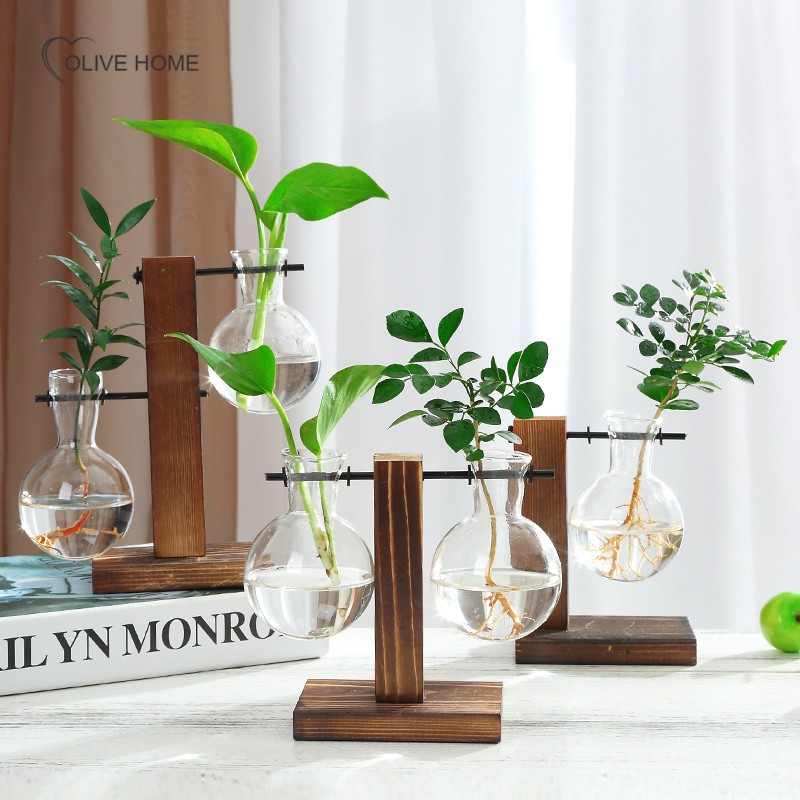 Terrarium Hydroponic Plant Vases Vintage Flower Pot Transparent Vase