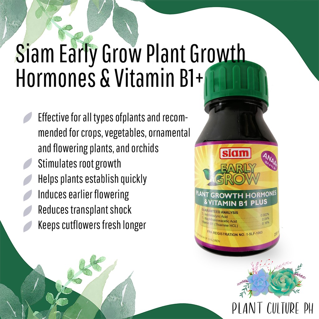 Siam Early Grow Plant Growth Hormones & Vitamin B1 Plus 250ml by Plant