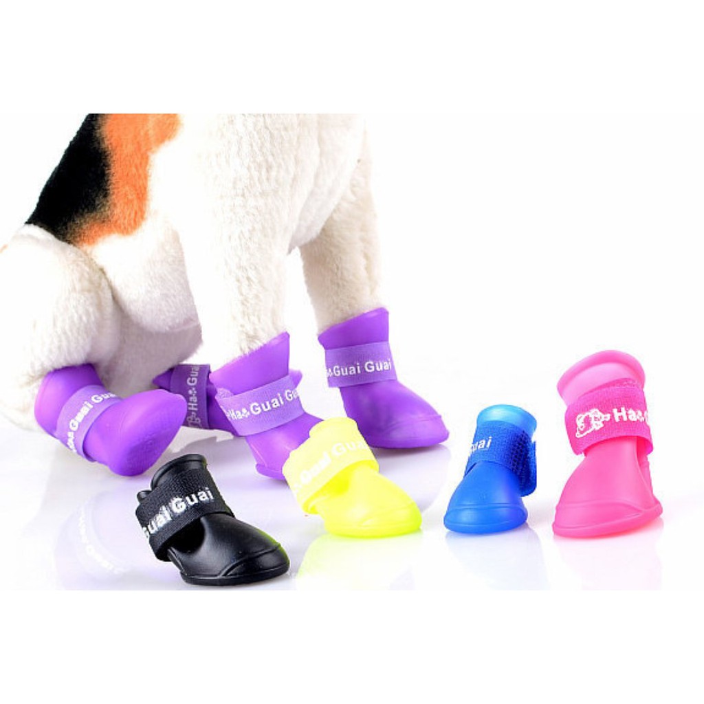 Pet Dog Jelly Shoes / Rain Boots (S, M, L, XL, XXL) Shopee Philippines