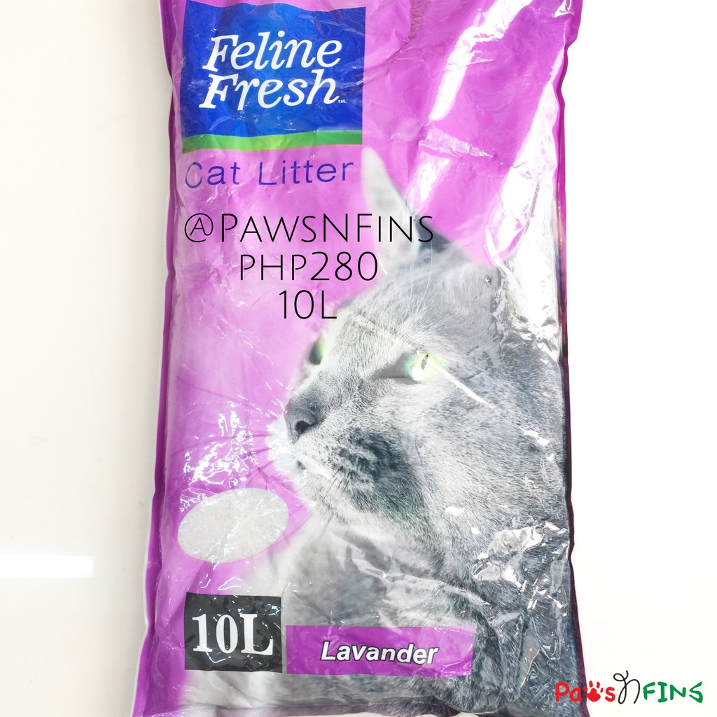 cat litter sand philippines Larry Rhea