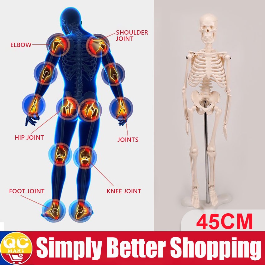 45CM PVC Skeleton Model Human Movable Skeleton Model Medical Learn Aid