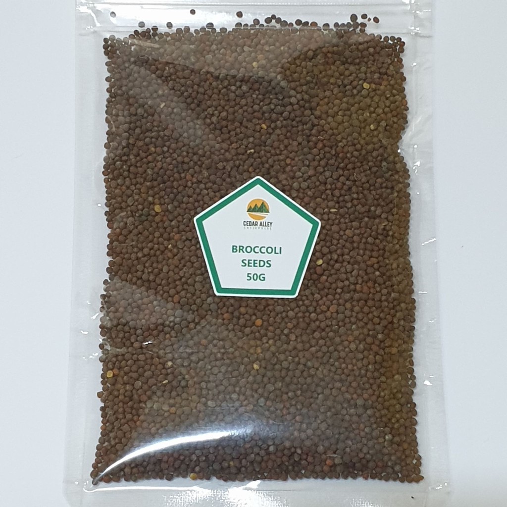 Broccoli Sprouting Seeds 50g Shopee Philippines