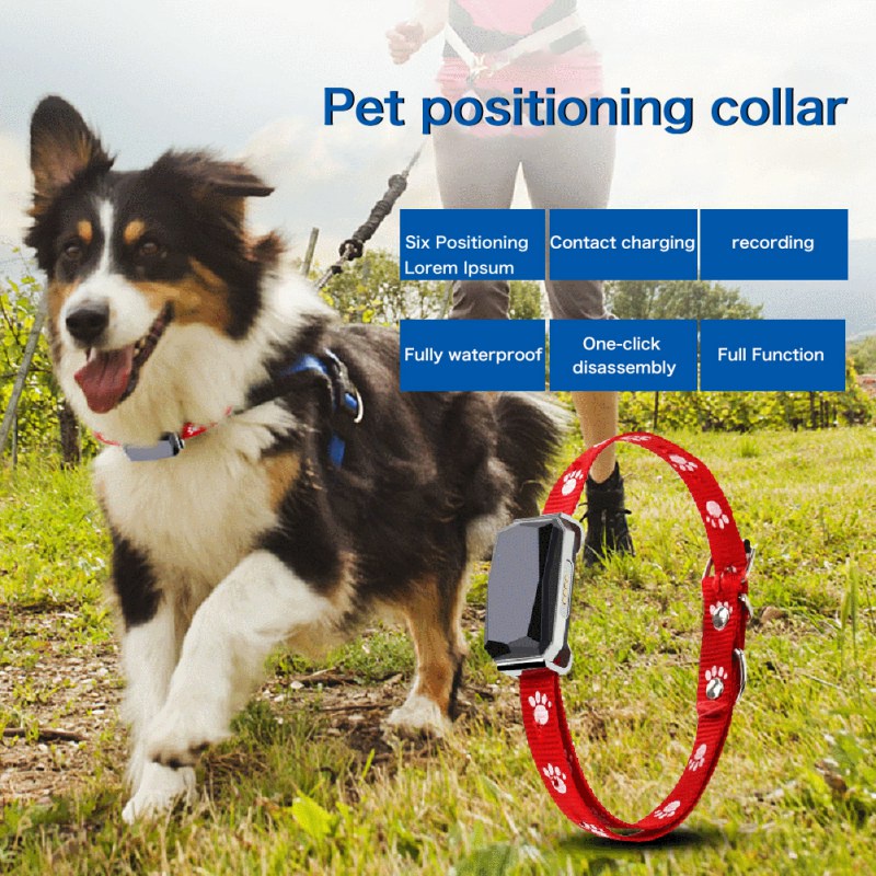 Smart GPS Tracker MiNi Pet Positioning Collar IP67 for Dogs and Cat GPS