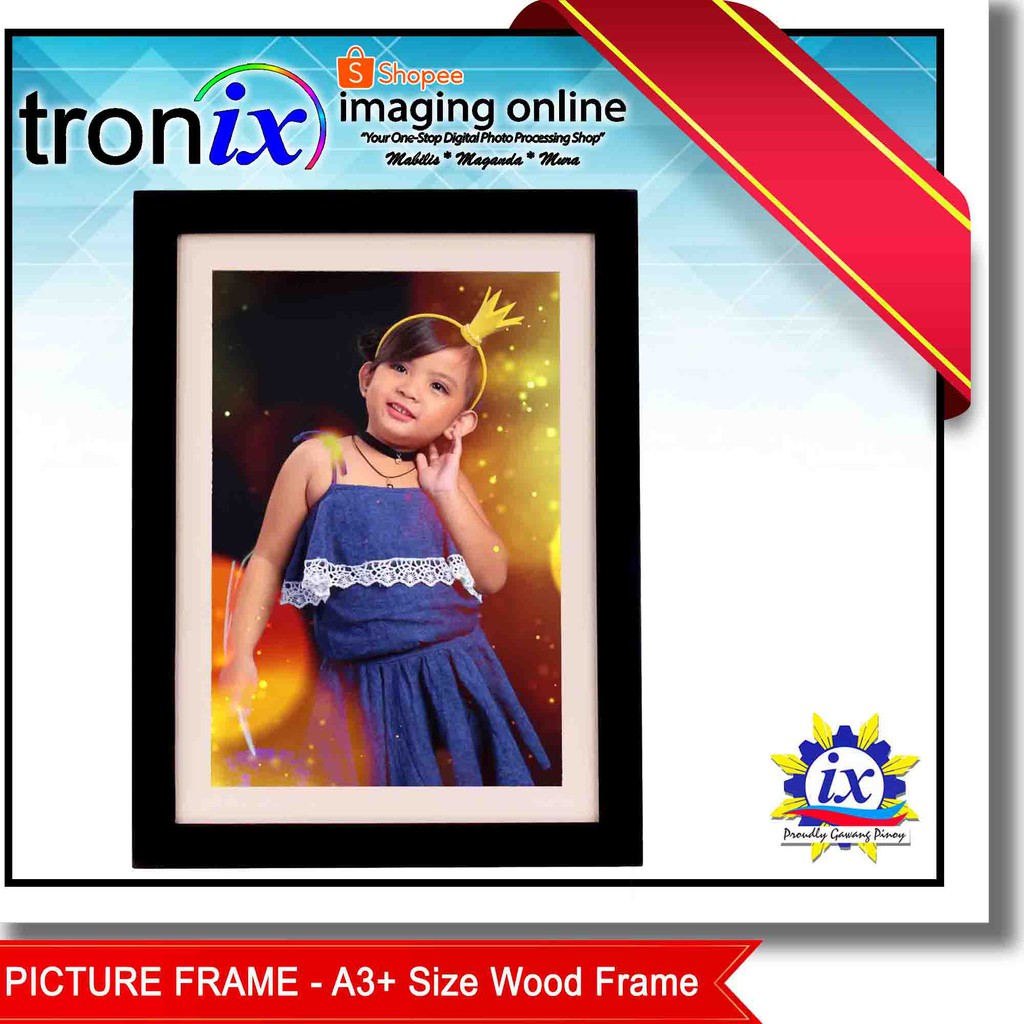 troniximaging A3+ Picture Frame with Matting for 13x19 Size Photo